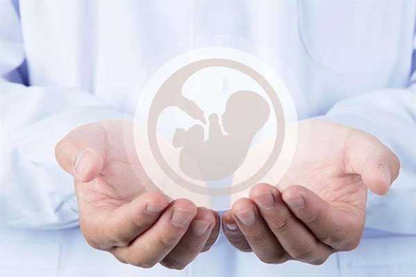 胚胎发育不良？孕酮低的影响及预防方法