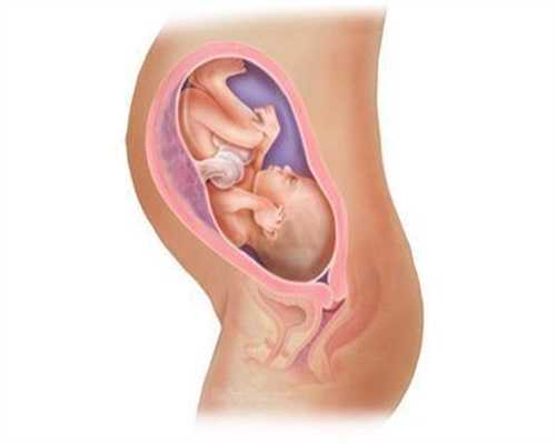 泰州包成功助孕中介：女子说怀孕却摸不到胎儿动 医生