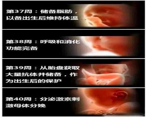 金华能包成功助孕的公司：孕妇到底能不能吃猪肝？最
