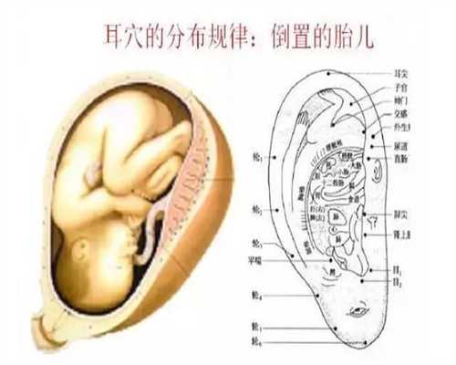深圳代孕一个男孩多少钱_备孕时控制好你的身体