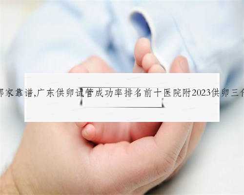 深圳代生孩子哪家靠谱,广东供卵试管成功率排名前十医院附2023供卵三代生龙凤